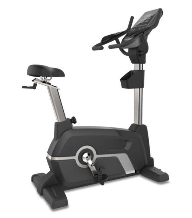 Commercial Upright Bike